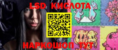 спиды Обь