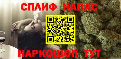 спиды Обь