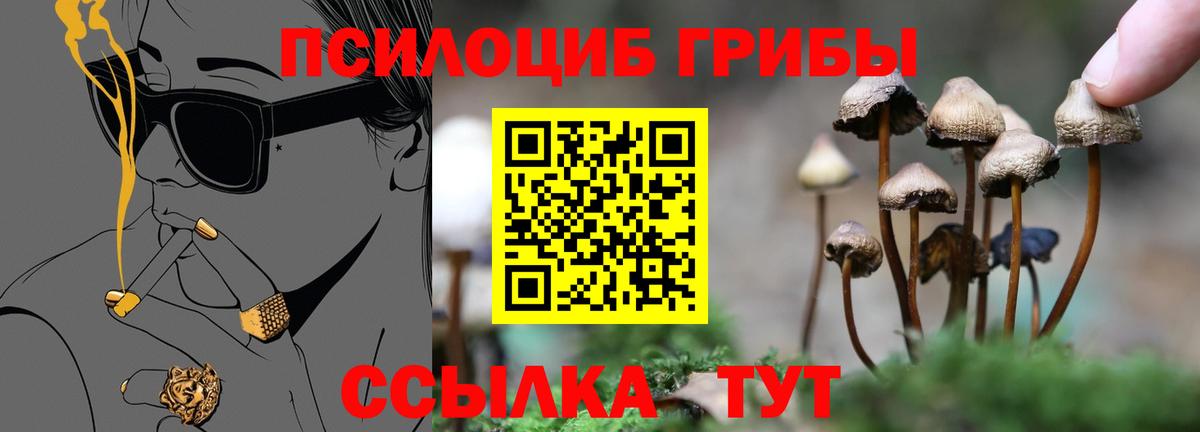 Реж  даркнет сайт  Вход с VPN  Псилоцибиновые грибы Psilocybine cubensis 